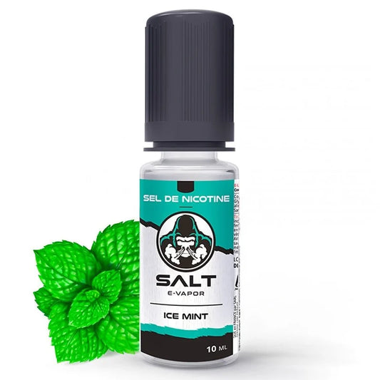 E-liquide Ice Mint Salt – E-Vapor – 10 ml